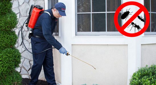 Kozaklı Bit İlaçlama böcek ilaçlama ve haşere kontrolü — ilaclama-tr.com